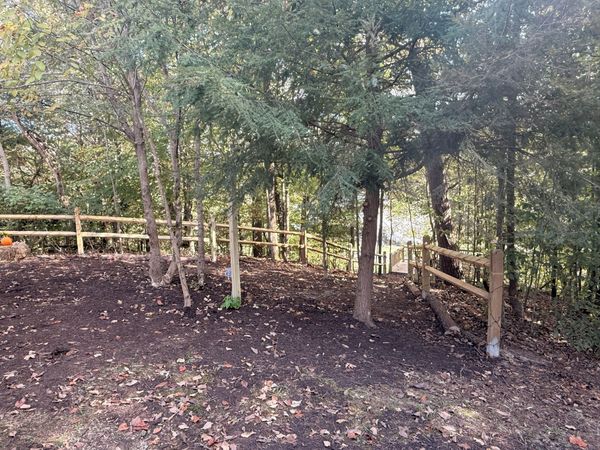 Dirt path with a split-rail fence winding through the trees to the deck overlook