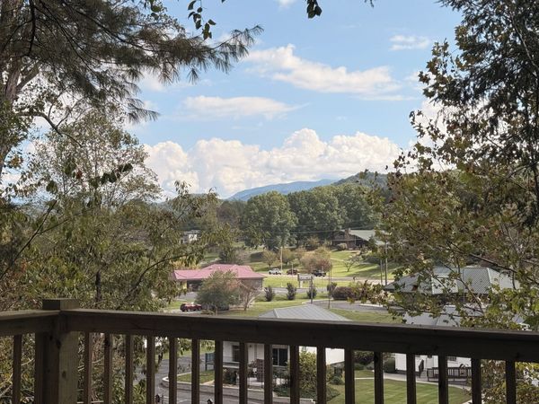 View from the deck railing over the trees and neighboring rooftops to the mountains