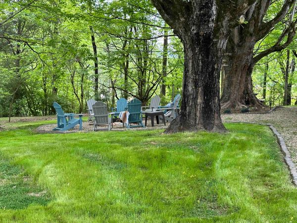 Adirondack chairs around the fire pit beneath a huge tree on a green lawn