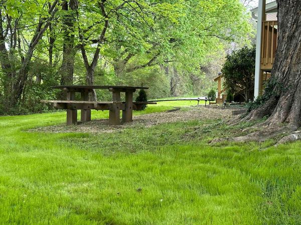 Wooden picnic table on the lawn under tall trees beside the house