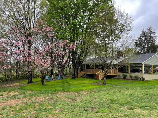 Blossoms on a flowering tree beside the lawn, with the Farmhouse deck at right
