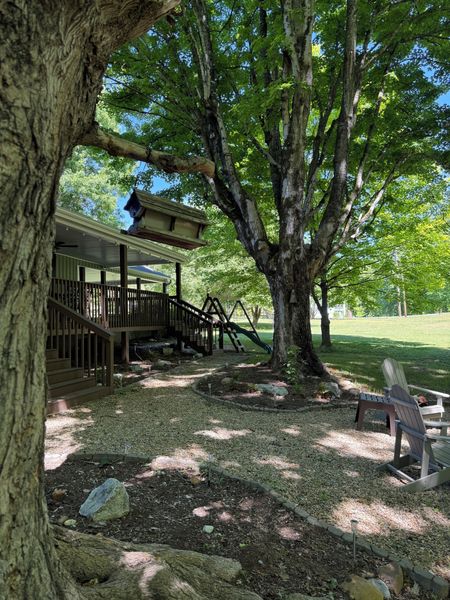 Shaded yard under large trees, with the covered deck and an Adirondack chair