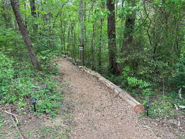 Wood-chip trail entering the woods, lined with logs and small path lights
