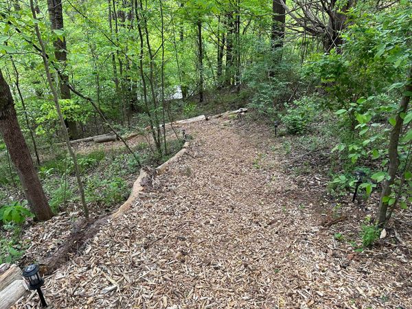 Wood-chip path through the woods toward the river, edged with logs