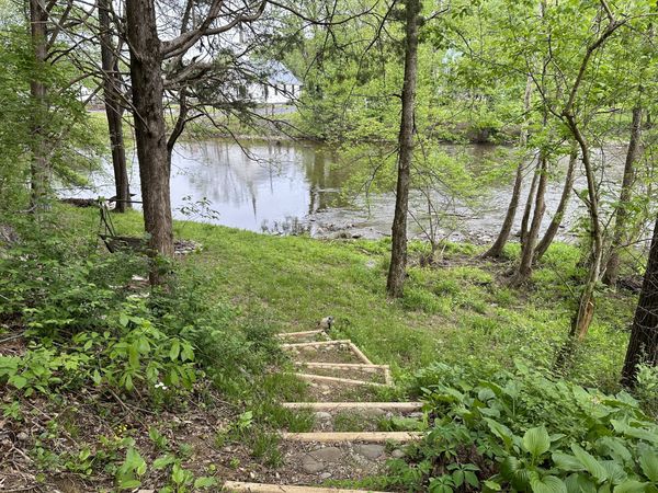 Timber steps leading down through ferns and grass to the river