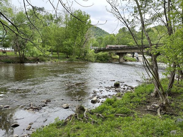 Little River flowing over rocks between spring-green trees, with a bridge in the distance