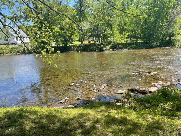 Little River seen from a shaded, grassy bank in spring