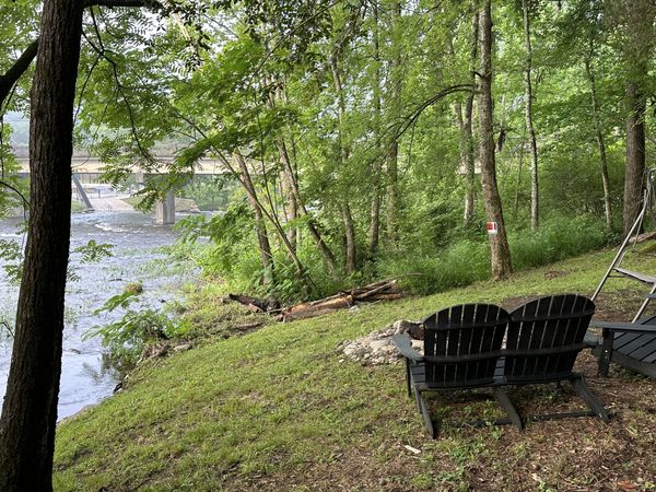 Adirondack chairs on the riverbank, looking through the trees to the river