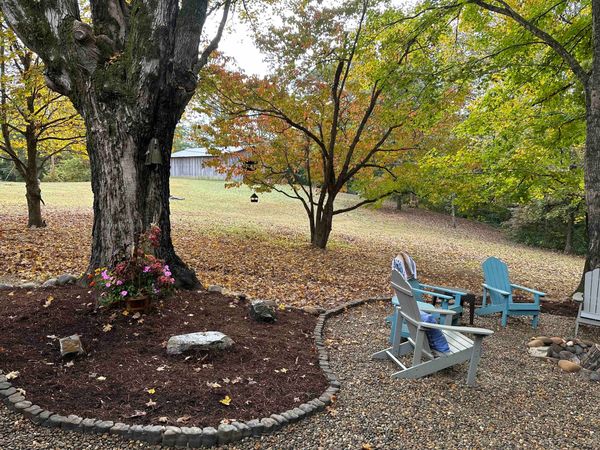 Adirondack chairs by the fire pit under a large tree in fall color