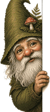 Gary the gnome